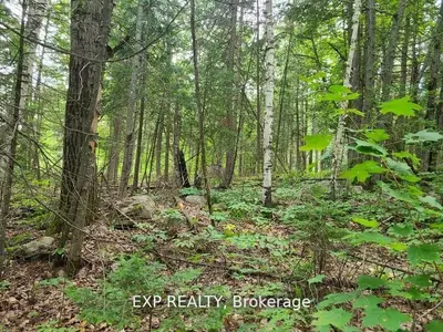 20 Peplinskie Homestead Road, Madawaska Valley, On K0j 1b0