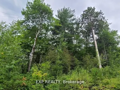 20 Peplinskie Homestead Road, Madawaska Valley, On K0j 1b0