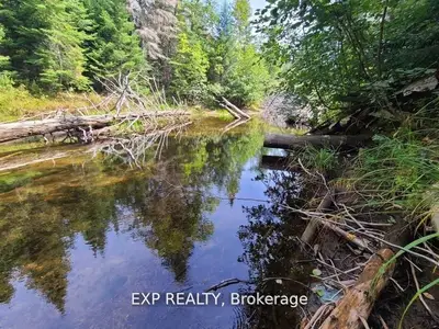 Pt Lt 8 Old Barry's Bay Road, Madawaska Valley, On K0j 1l0