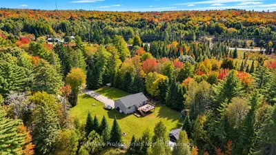 79 Mainhood Road, Huntsville, On P0b 1m0