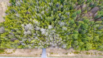 0 Highway 41 Highway, Bonnechere Valley, On K0j 1t0