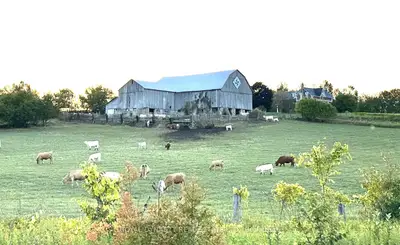 807 County Rd 41 Road, Kawartha Lakes, On K0m 2b0