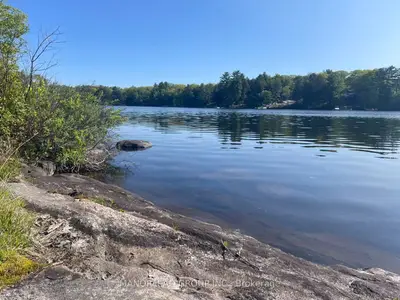 50 Hawkins Point Road, Georgian Bay, On P0c 1h0