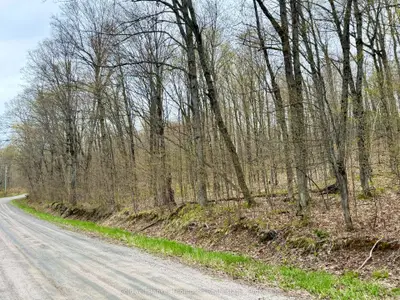 842 Seagull Lake Road S, Parry Sound Remote Area, On P0h 1a0
