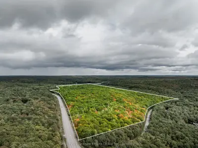 17812 Highway 35, Algonquin Highlands, On K0m 1s0