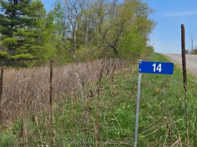 14 Winter Road, Trent Hills, On K0k 3k0