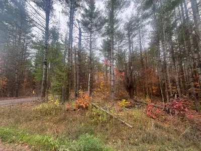 945 Shanick Road, Marmora And Lake, On K0k 2m0