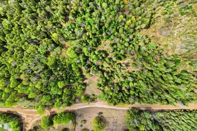 393 Rose Island Road, Wollaston, On K0l 1p0