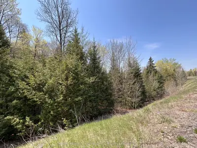0 Highway 118, Faraday, On K0l 1c0