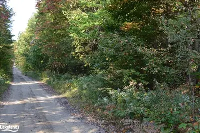 Lot 20 Concession 5 Road, Huntsville, On P1h 2j3