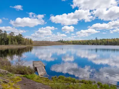 89 Mckellar Ferguson Boundary Road, Mcdougall, On P2a 2w7