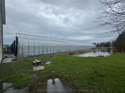 342 Mountain Road, Grimsby, On L3m 4e7