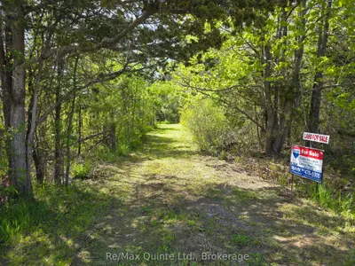 Across From 3904 Cty Rd 49, Prince Edward County, On K0k 2t0
