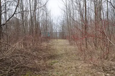 Ptlt 19 Con Broken Front Bayshore Road, Meaford, On N0h 1v0