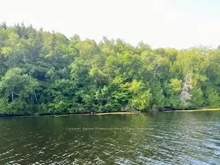 Lot 13-a Little Long, Parry Sound Remote Area, On, P0h 1s0