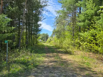 127 Lloyd Street E, Addington Highlands, On K0h 2g0