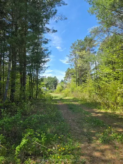 127 Lloyd Street E, Addington Highlands, On K0h 2g0