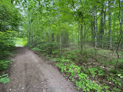 1043 Lawrence Pit Road, Muskoka Lakes, On P0b 1m0
