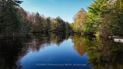 1063 Forrester Trail N, Bracebridge, On P1l 1w9