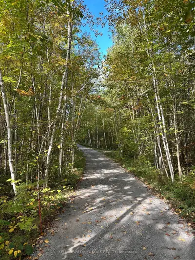 216 Smooth Rock Road, Georgian Bay, On L0k 1s0