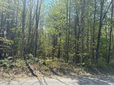 429 Britannia Road, Huntsville, On P1h 2j3