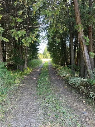 133272 Allan Park Road, West Grey, On N4n 3b8