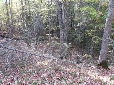 Lot 1 Woodland Park Drive, Frontenac, On K0h 1b0