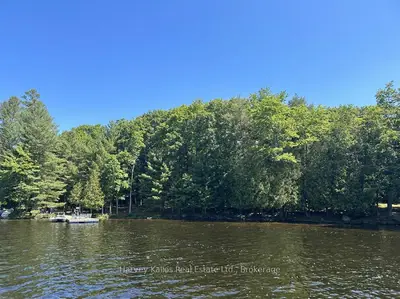 1254 Barlochan Road 4, Muskoka Lakes, On P1p 1r2