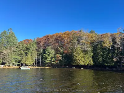 1254 Barlochan Road 4, Muskoka Lakes, On P1p 1r2