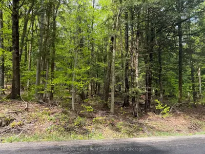Con 1 Pt Lot 12 Barlochan Road, Muskoka Lakes, On P1p 1r2