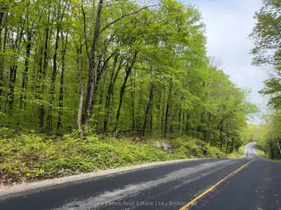 Con 1 Pt Lot 12 Barlochan Road, Muskoka Lakes, On P1p 1r2