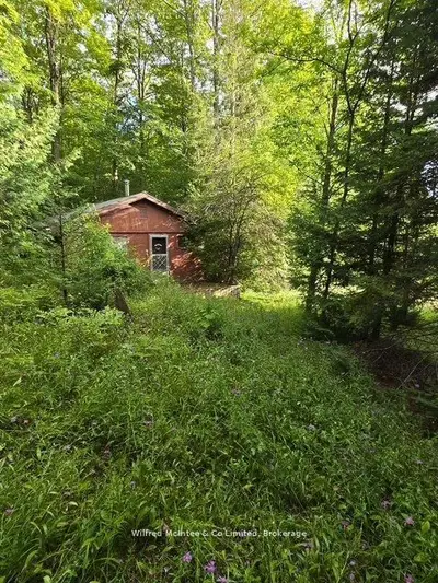 581650 9a Side Road, Chatsworth, On N0h 1k0