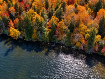 0 Old Sinclair Road, Lake Of Bays, On P1h 2j6