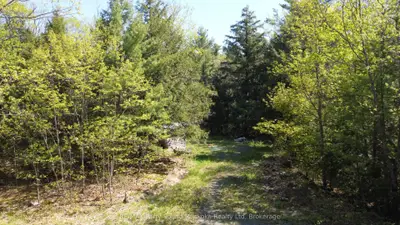 175 North Sandy Plains Road, Seguin, On P2a 2w8