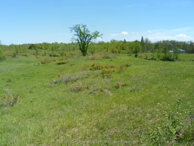 1178 County Rd 121 Road, Kawartha Lakes, On K0m 1n0
