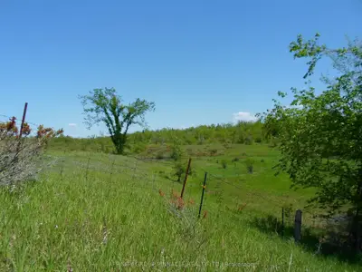 1178 County Rd 121 Road, Kawartha Lakes, On K0m 1n0