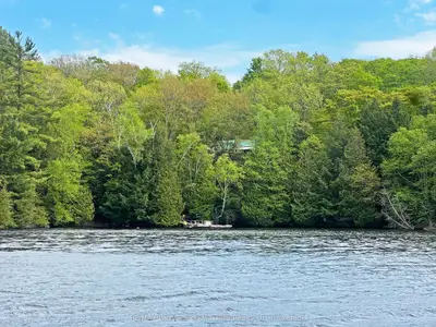 825 Otter Lake Wa 128, Seguin, On, P2a 0b2