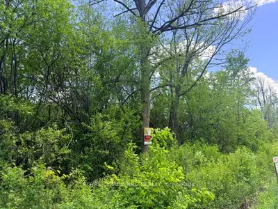 V/l Centralia Avenue N, Fort Erie, On L0s 1n0