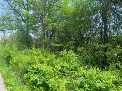 V/l Centralia Avenue N, Fort Erie, On L0s 1n0