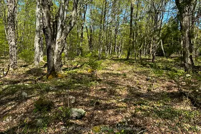 Sutter Road Road, Northern Bruce Peninsula, On, N0h 1w0