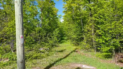 3463 County Road 44, Havelock-belmont-methuen, On, K0l 1z0