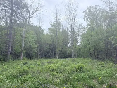 Lot 2 Mutual Avenue, Renfrew, On K7v 3r4