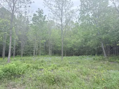 Lot 1 Mutual Avenue, Renfrew, On K7v 3r4
