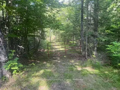 905 & 841 North Mckenzie Lake Road, South Algonquin, On K0j 2m0