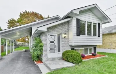 73 North Park Street Bsmt, Belleville, On K8p 2y6