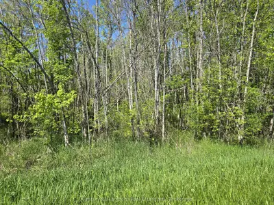 00 Shannonville Road, Tyendinaga, On K0k 1v0