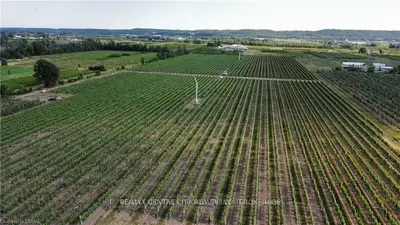 3920 Greenlane Road, Lincoln, On L0r 1b1