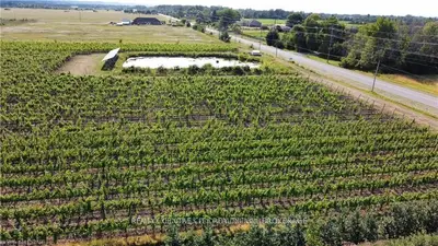3920 Greenlane Road, Lincoln, On L0r 1b1