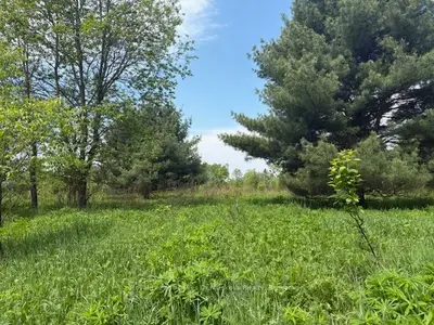351 Ravenscliffe Road, Huntsville, On P1h 1l6