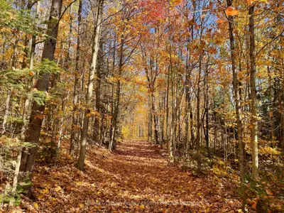 0 20th Side Road, Parry Sound Remote Area, On P0h 1y0